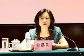 中央巡视组结束巡视当天，武汉副市长徐洪兰落马图片