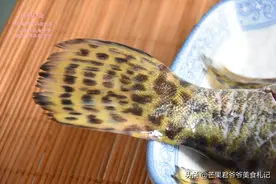 又到了“桃花流水鳜鱼肥”的季节，鳜鱼怎么做才好吃了？图片