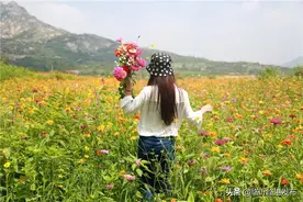 当周杰伦的歌词遇上临港，简直美哭了！图片