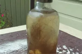 美国男子挖出装有牙齿头发尿液“巫婆瓶”，网友炸锅：赶紧放回去图片