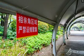 在上海做了23年红娘，她眼中“老爸老妈婚恋史”图片