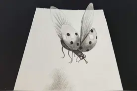 素描练习：3D效果图片