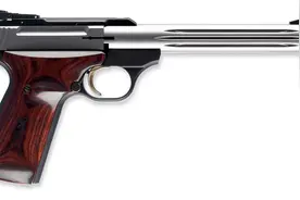 点22口径手枪的优缺点，超自然的伤害能力，蚂蚁再小咬人也疼图片