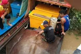 大马渔民捕到280公斤巨型魟　长4公尺搏斗1.5小时图片