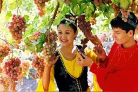 吐鲁番的葡萄熟了，阿娜尔罕的心儿醉了图片