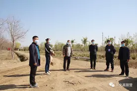 高丽营镇统筹推进平原造林，给百姓带来“绿色幸福感”图片