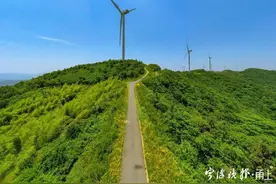 看云，听风，观日出！下周起，宁波这段风车公路迎来最美季节图片