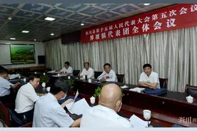 淅川县委书记卢捍卫参加部分乡镇人大代表团分组审议图片