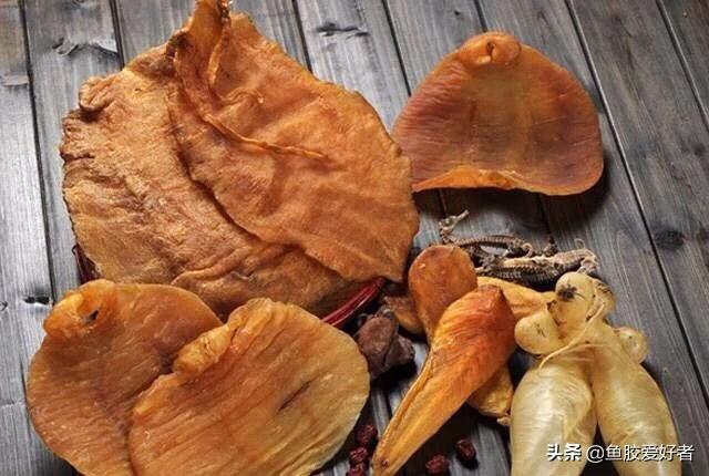 一斤鱼胶有多少片 2026年一斤鱼胶有多少片海参