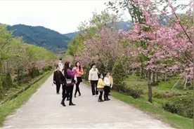 邵武  回归故里创新业 携手共建好家园图片