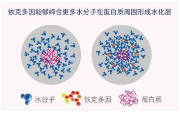 资深成分党口中万能的依克多因，到底是真香还是炒作？