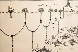 船海探索 | 远洋渔船捕鱼法之金枪鱼延绳钓图片