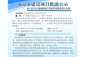 毛坯限价17340元/㎡！江宁滨江新添4栋高层图片