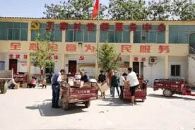 无梁镇王家村：山杏引路“钱袋子”鼓 发展振兴谋新篇图片