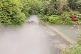 成都自由行第五天：真心不想回北京了，大熊猫看到了，还有小熊猫图片