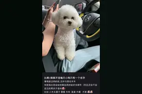 和女室友睡觉的时候不小心把她踢下了床？哈哈，大学生尴尬事件图片