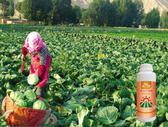 含氨基酸新型功能性生物肥：代替一切叶面肥药剂，顶替50斤复合肥