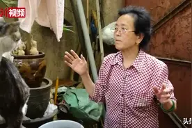 七旬老人27年养600只流浪猫：“退休金基本都给猫花了”图片
