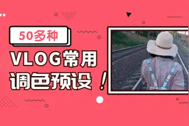 50多种风格的调色预设，一招学会轻松调色，vlog常用图片