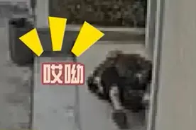 宁波88岁独居老人摔倒 路过女学生停下扶起老人图片