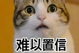 惊！正规公司的外壳下竟藏着个借炒币行诈骗的团伙图片