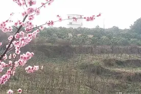 夫妻之间相处相互体贴，应该体现在哪些方面，细节呢（值得一看）图片