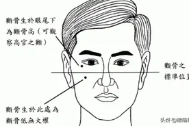 为什么说“好男有毛不鞭春，好女有膘不看灯”？图片
