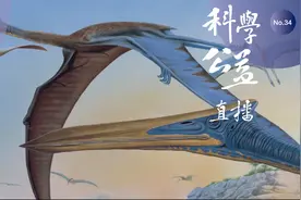 化石有话要说：除了悟空卫星，中国还有了悟空翼龙图片