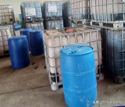 甘蔗糖蜜在猪营养中的应用，可以代替大量能量饲料降低部分成本