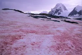科学家深入阿尔卑斯山深处，发现了地球未来的秘密，证据令人担忧图片