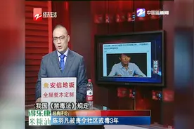 陈羽凡被责令社区戒毒3年视频封面