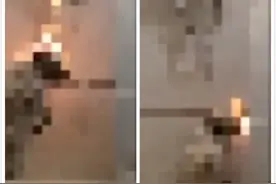 火烧！开水烫！男子在“昆明流浪狗救助”群发虐狗视频！自称靠这赚了不少钱图片