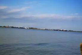习惯了广东，不想回家图片
