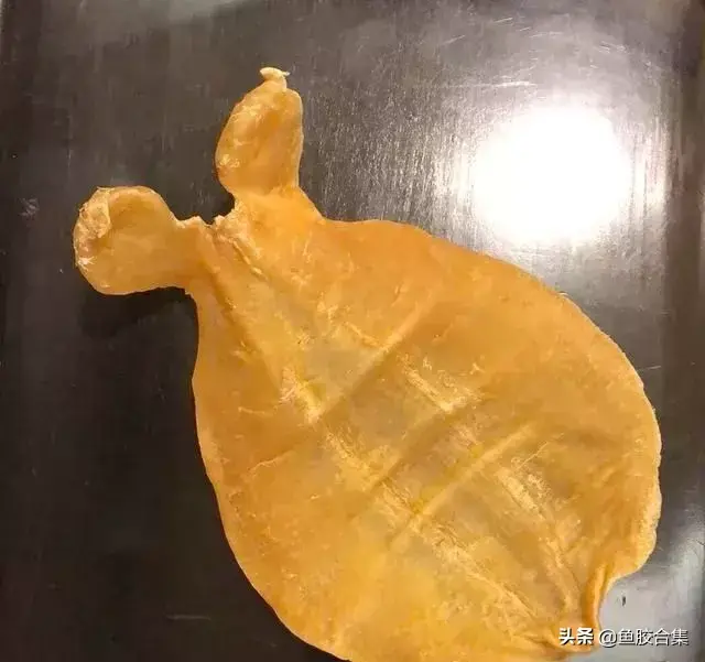 赤嘴鱼胶有几种 赤嘴鱼胶有几种品种