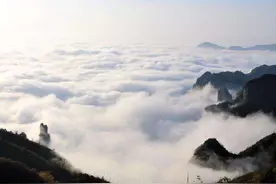 《坛经》智慧，风不动，幡不动，是仁者心动图片