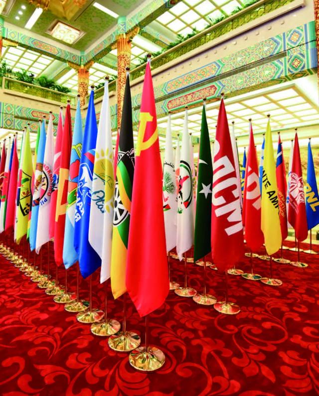 揭秘：政党峰会上的旗阵为何这么亮眼？