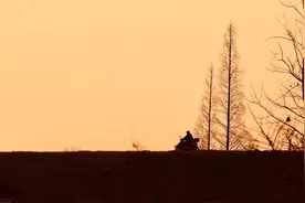 尘土 | 诗歌图片