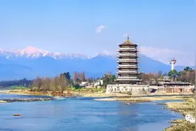 一年四季免费耍元通，你会是元通“锦鲤花”吗？图片
