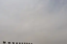 顺路来通湖草原转转，不玩项目看看风景也不错图片