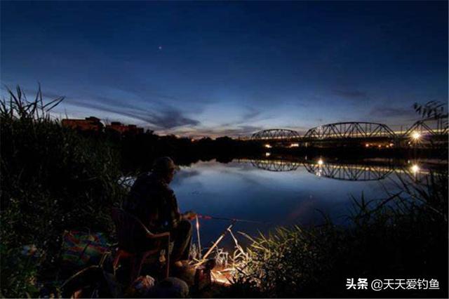 鲤鱼怕高温，夏季最适合夜钓，夜钓大鲤鱼，可以试试这些招数
