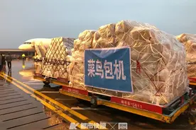 起飞了！菜鸟紧急开通杭州首条到吉隆坡货运航线图片