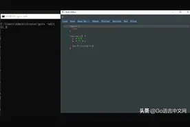 每日一库之 Go 语言开发者的神器—Gotx图片