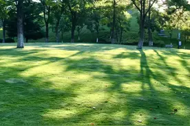 高中语文教材必修1-3字词整理，收藏备用！图片