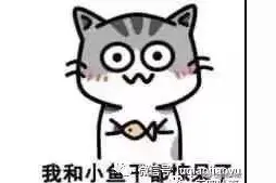 左脑？右脑？图片