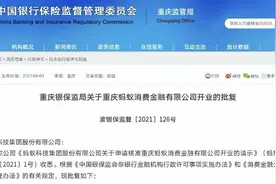 蚂蚁消费金融公司获开业批复 两家小贷公司将退出图片