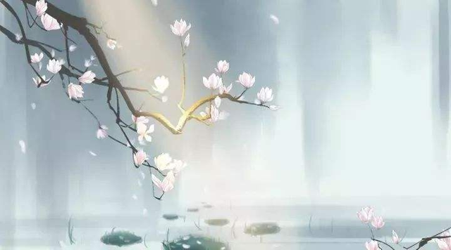 腾讯软件中心