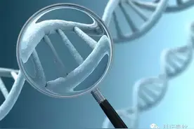 探秘复旦人类表型组研究，测试几万个数据，为何能破解生命之谜？图片
