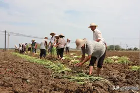 淮河蒙洼蓄洪区补偿工作全面启动，目前正核查登记中，预计12月底全部结束，补偿范围和标准公布图片