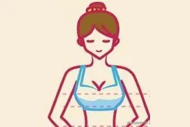 女性文胸杯型 尺寸 尺码对照表图片