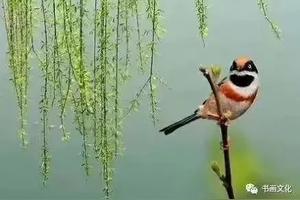 刘禹锡《乌衣巷》赏析图